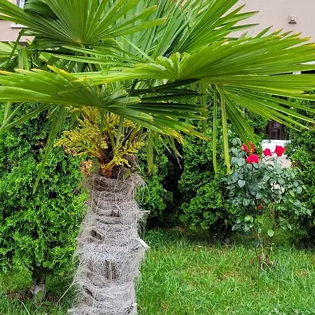 Apartmán Vip-zone Sluneční pobřeží
